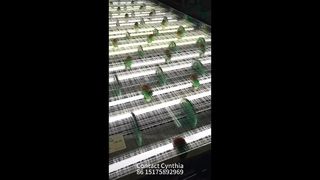 Verschiedene Arten von laminiertem Glasgewebe erhältlich